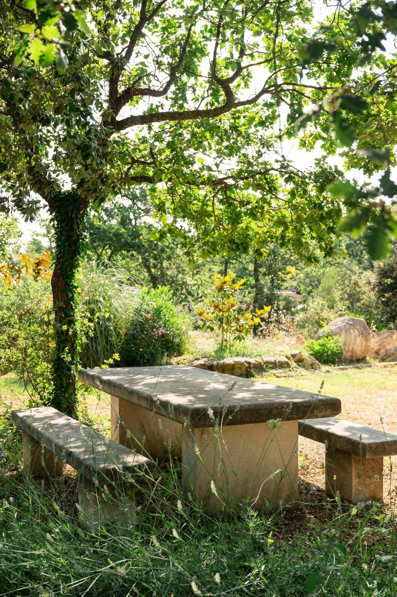 Maison D'Etienne Lacoste  Kültér fotó